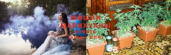 прущая мука Козельск