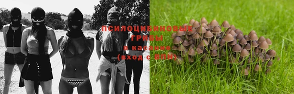 ALPHA-PVP Козловка