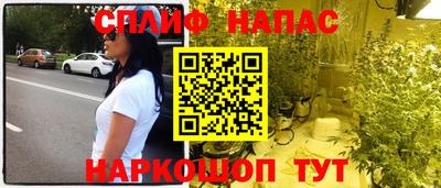 СК Гагарин